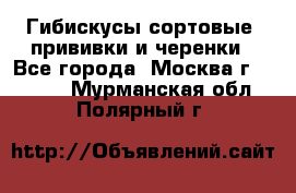 Гибискусы сортовые, прививки и черенки - Все города, Москва г.  »    . Мурманская обл.,Полярный г.